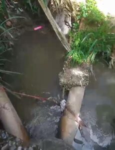 IMG-20250227-WA0190