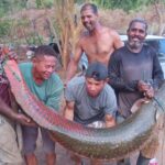 foto-no-tamanho-home-73- (1)